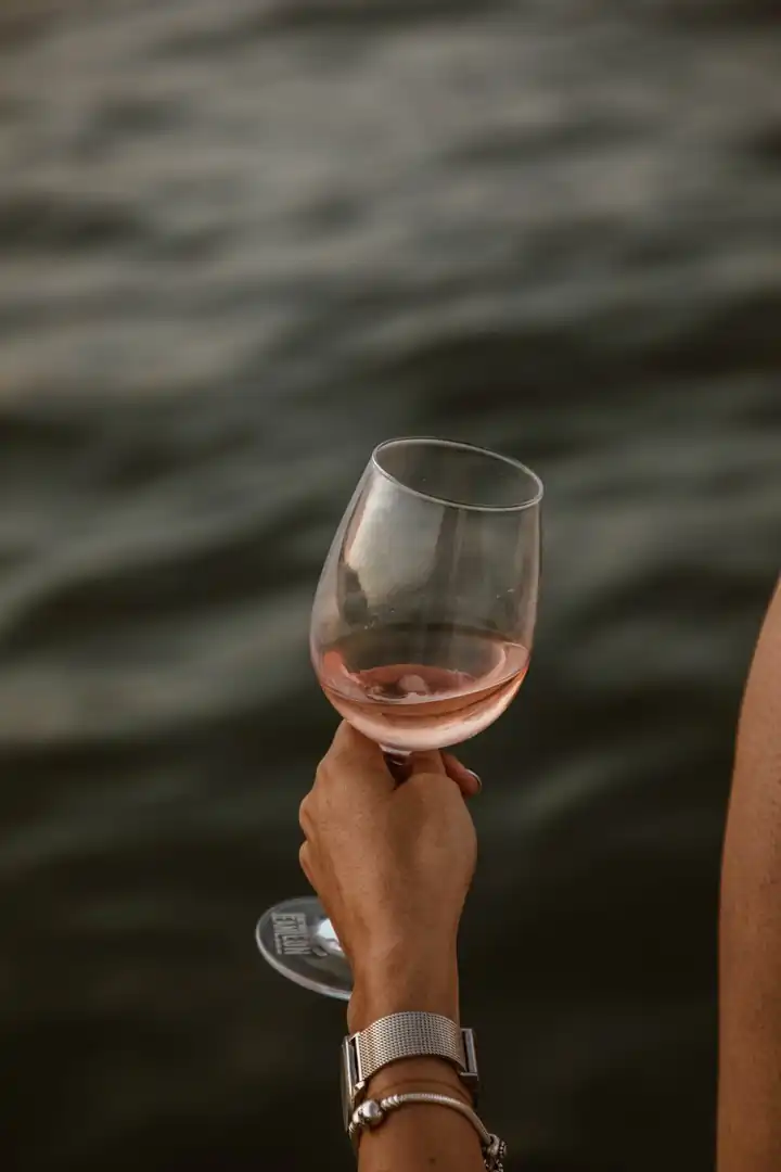 Cata de vinos submarinos a bordo - image 1