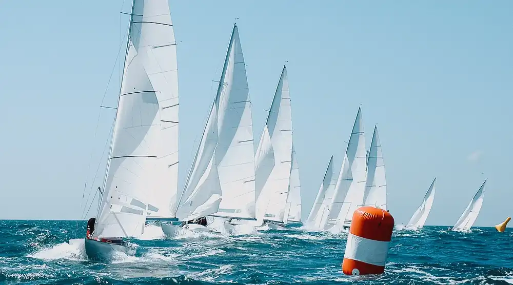 Teambuilding Mit Firmenregatta - Aria.Image 4