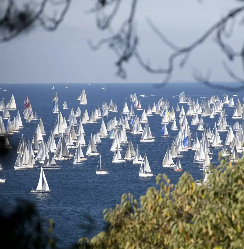 Regata Teambuilding en Barcelona - imagen 6
