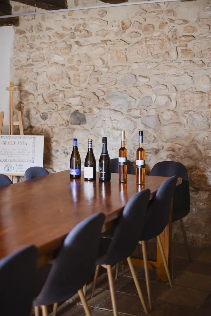 Bootsausflug Nach Sitges Mit Paella Und Malvasia - Aria.Image 5