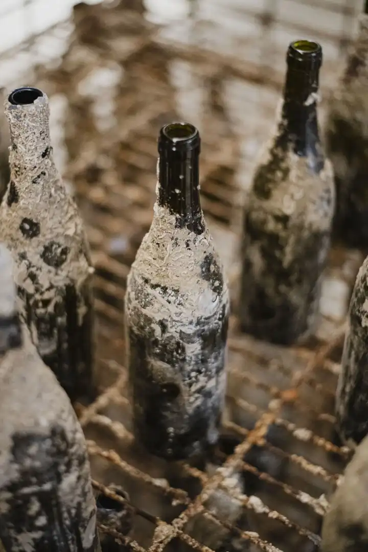 Bootsausflug Nach Sitges Mit Paella Und Malvasia - Aria.Image 6