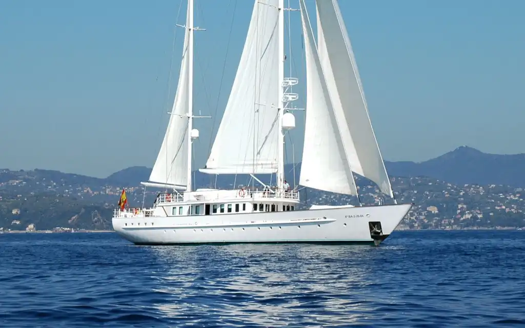 Schaefer Friesland Mata Mua Veler - image 1