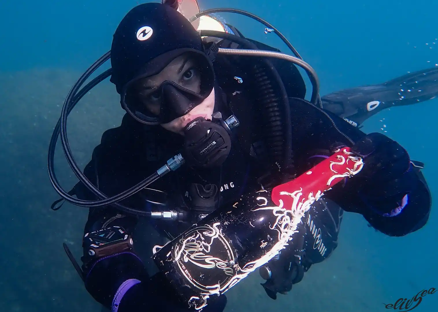 Eco Cata Submarina Per A Empreses - Aria.Image 4