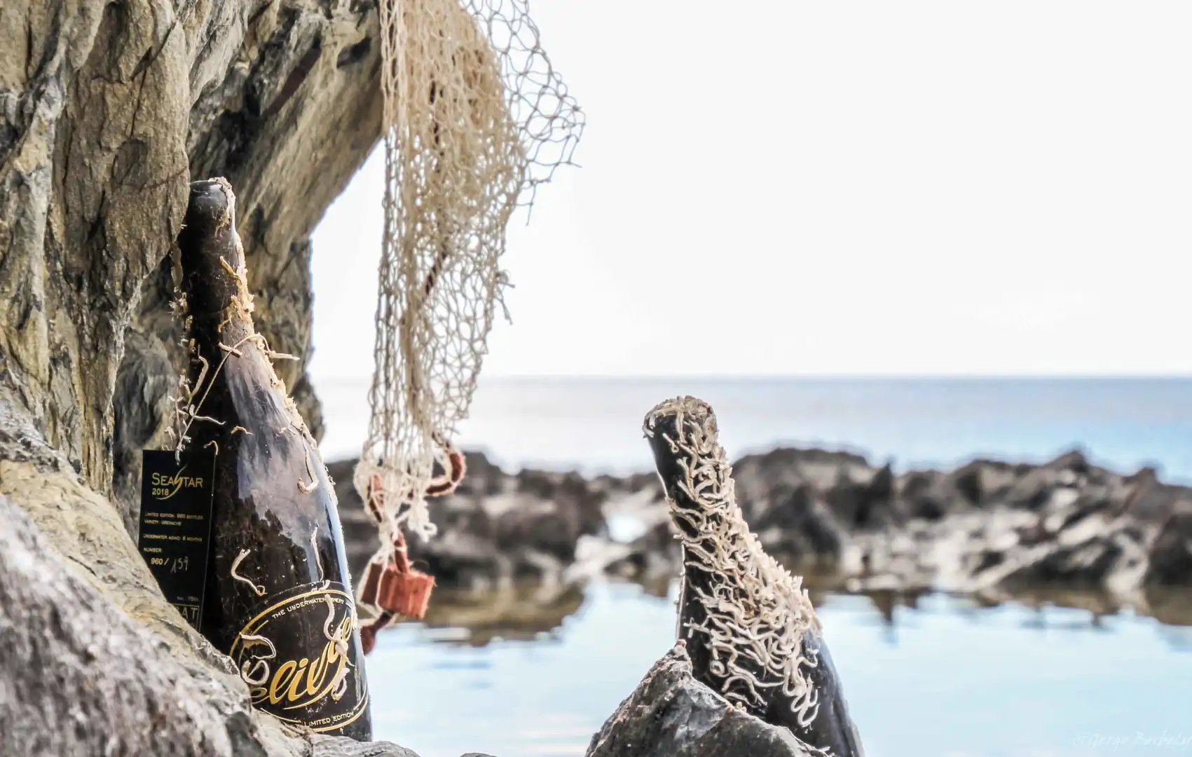 Eco Cata Submarina Per A Empreses - Aria.Image 6