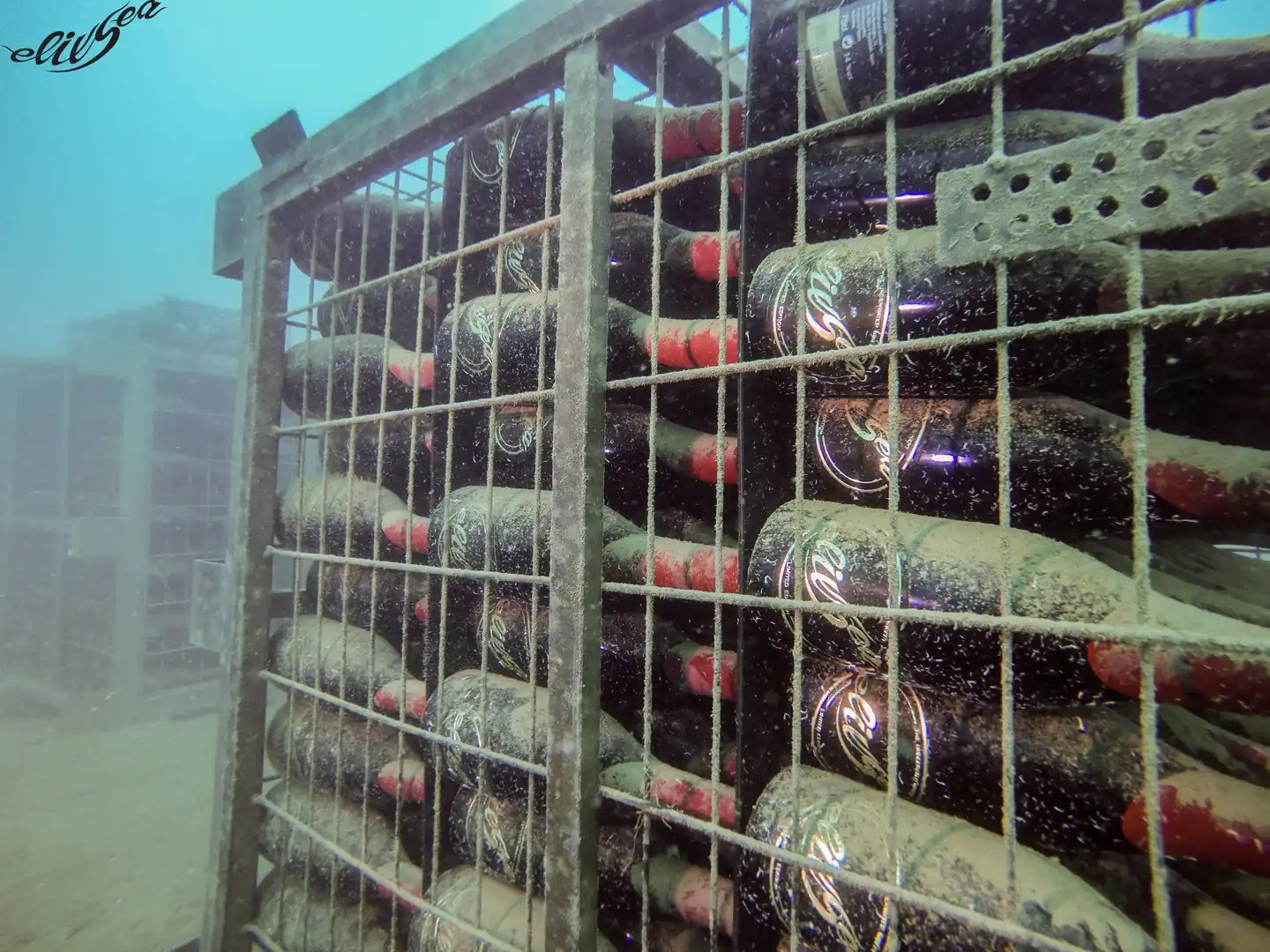Teambuilding Vino en Barcelona - imagen 7