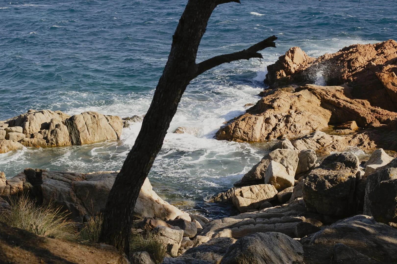 Excursio Vaixell Costa Brava Des De Barcelona - Aria.Image 5